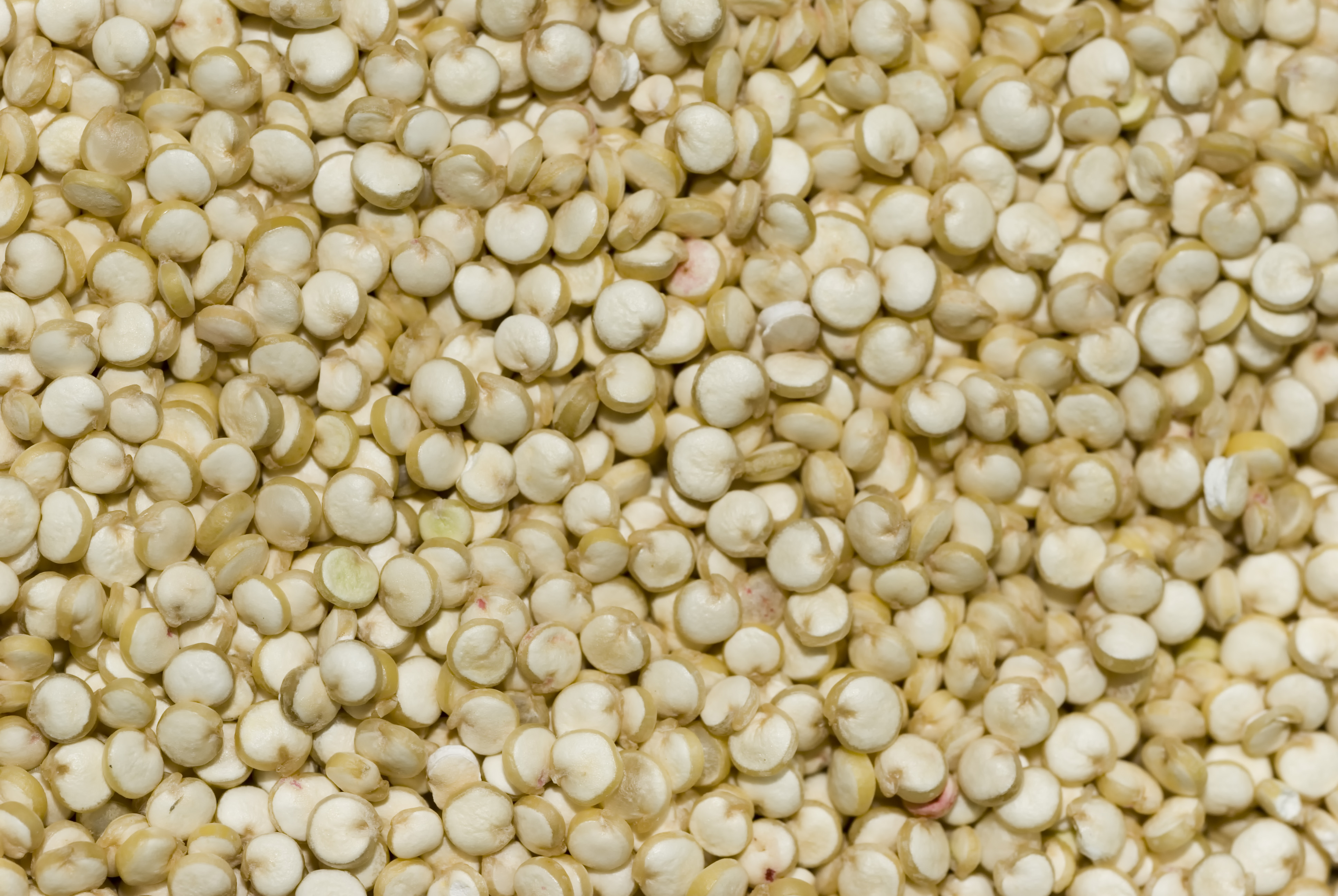 12 Quinoa semi