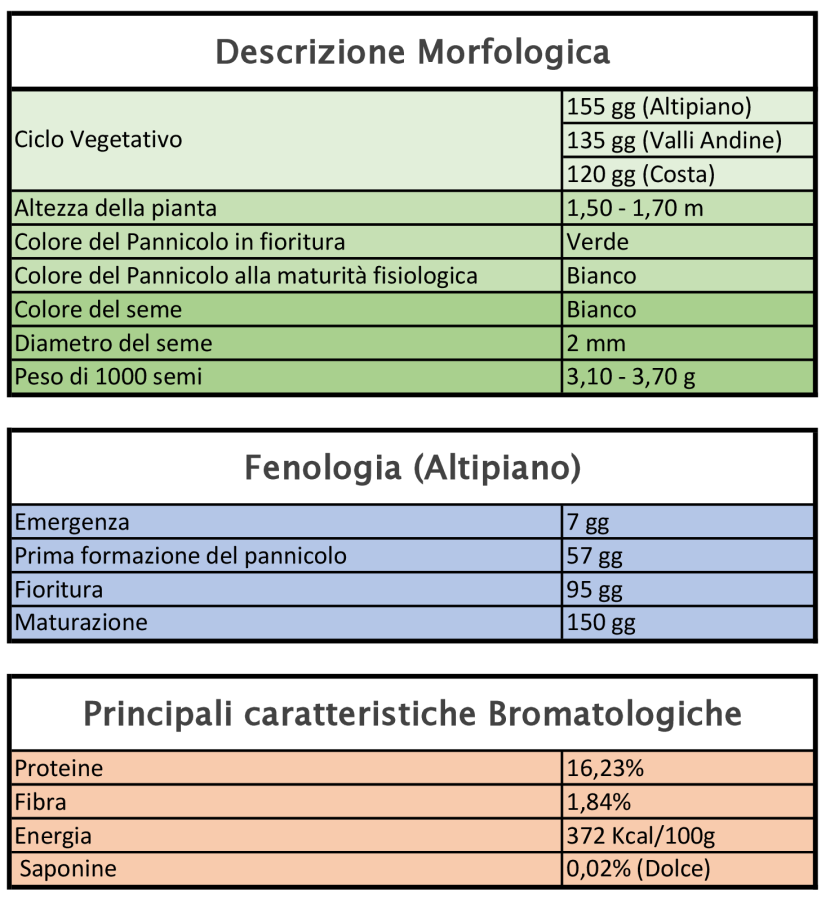 Características varietales 2