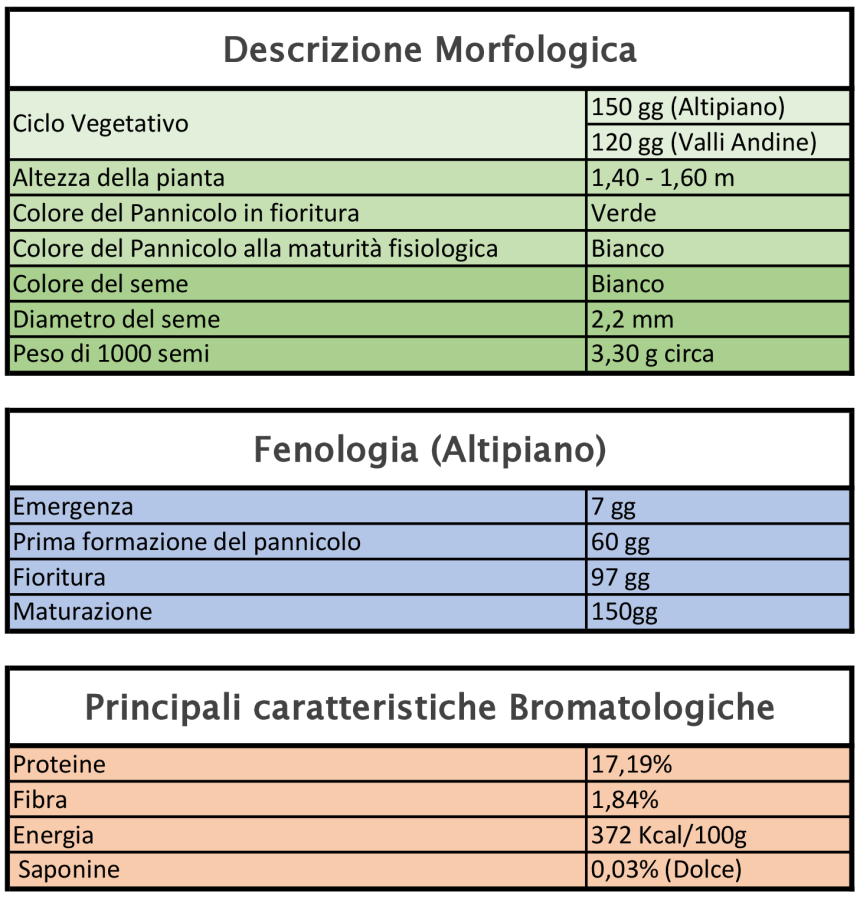 Variedad de quinua INIA 431 Altiplano: características